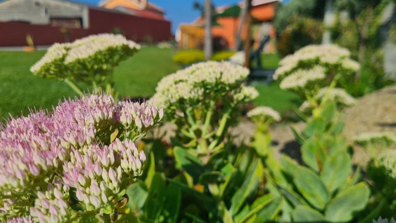 Вилла Hollidays Dreams Повуа-ди-Варзин Экстерьер фото