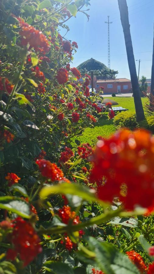 Вилла Hollidays Dreams Повуа-ди-Варзин Экстерьер фото